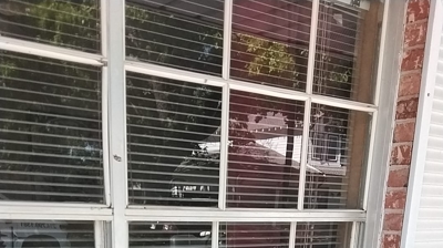 Window Cleaning Services Photo